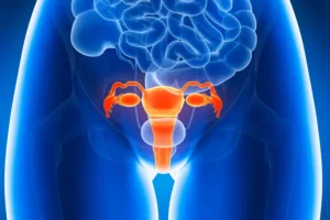what is hysterectomy